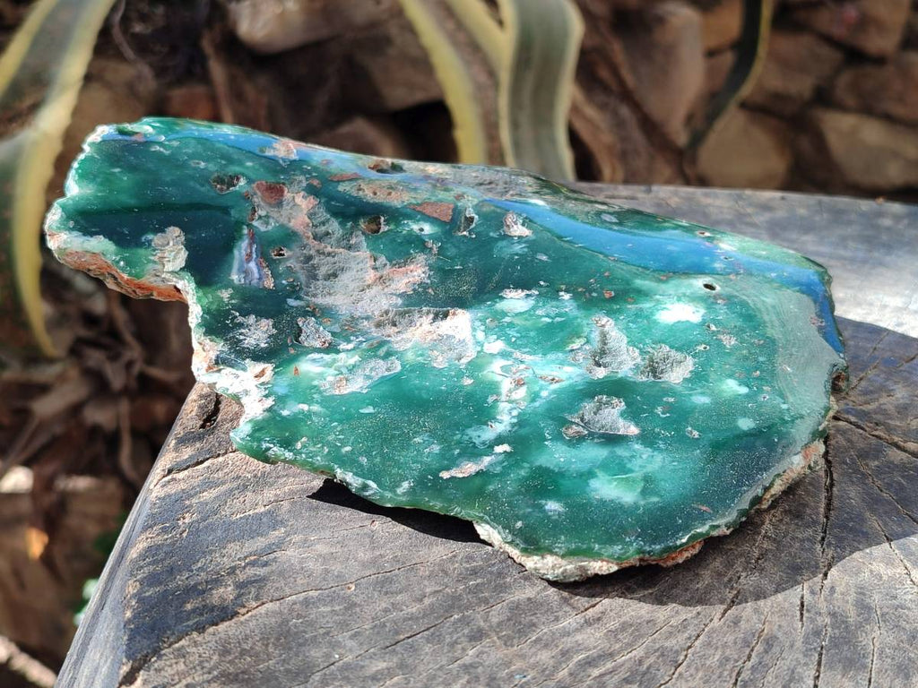 Polished On One Side Mtorolite Plate x 1 From Mutorashanga, Zimbabwe - Toprock Gemstones and Minerals 