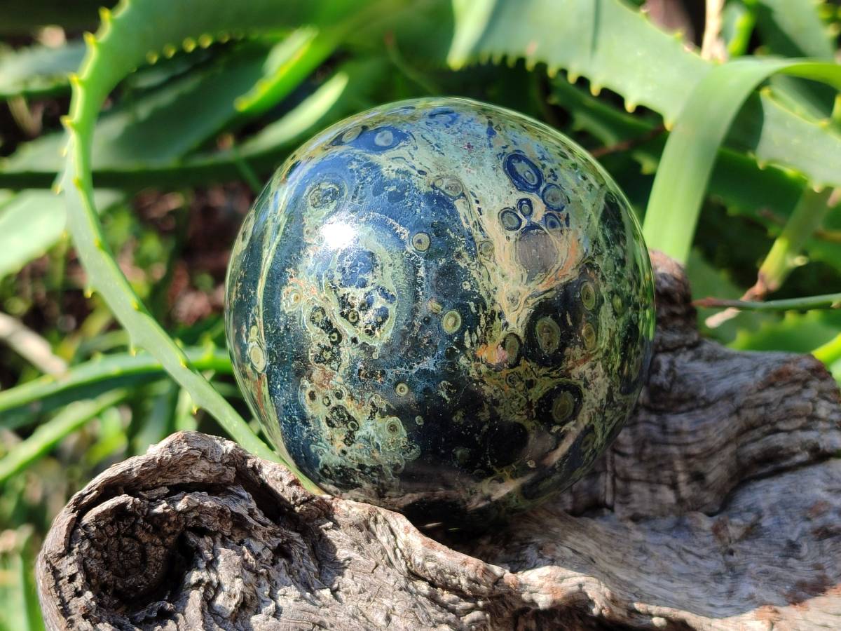 Polished Stromatolite Spheres x 2 From Katsepy, Madagascar - Toprock Gemstones and Minerals 