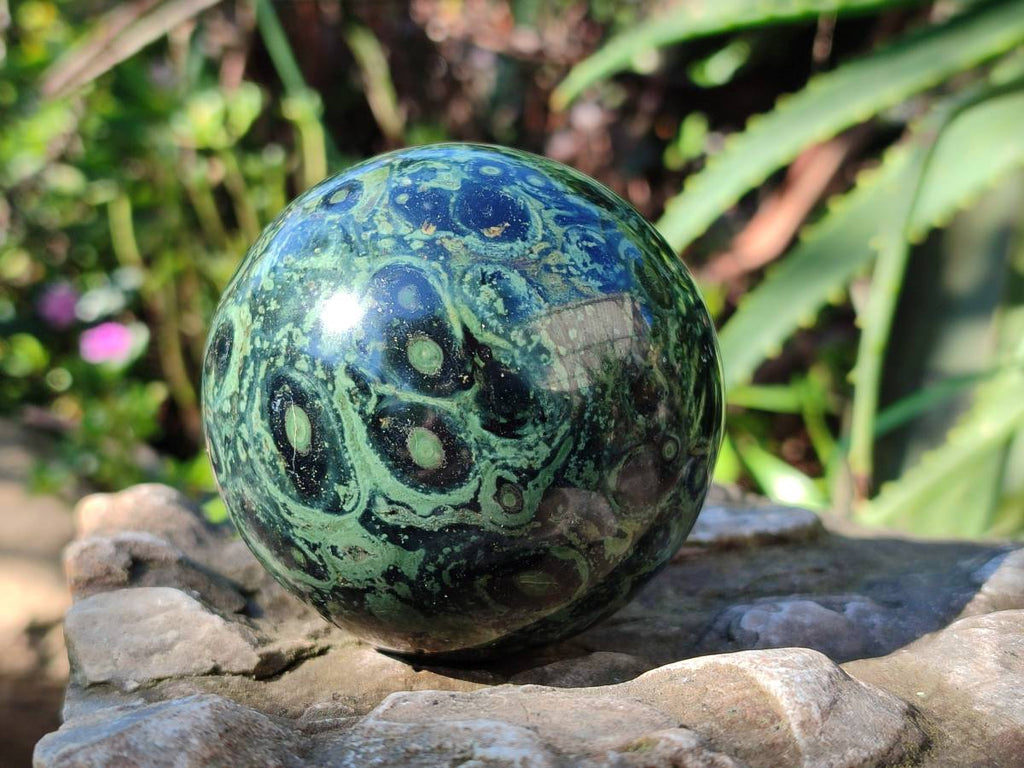 Polished Stromatolite Spheres x 2 From Katsepy, Madagascar - Toprock Gemstones and Minerals 
