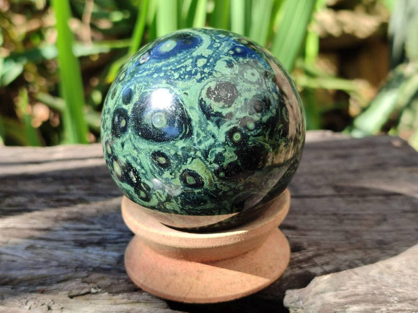Polished Stromatolite Spheres x 2 From Katsepy, Madagascar