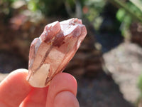 Natural Red Hematoid Quartz Crystals x 35 From Karoi, Zimbabwe - Toprock Gemstones and Minerals 