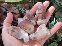 Natural Red Hematoid Quartz Crystals x 35 From Karoi, Zimbabwe - Toprock Gemstones and Minerals 