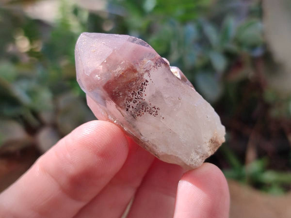 Natural Red Hematoid Quartz Crystals x 35 From Karoi, Zimbabwe - Toprock Gemstones and Minerals 