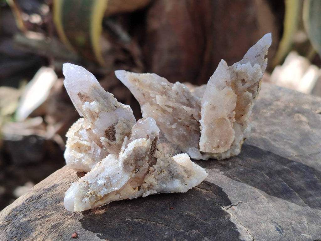 Natural Drusy Quartz Coated Calcite Pseudomorph Specimens x 12 From Alberts Mountain, Lesotho - Toprock Gemstones and Minerals 