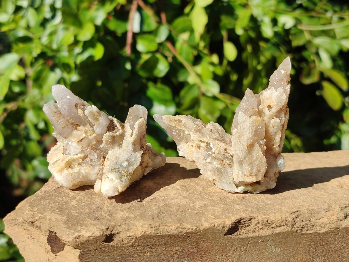 Natural Drusy Quartz Coated Calcite Pseudomorph Specimens x 12 From Alberts Mountain, Lesotho - Toprock Gemstones and Minerals 