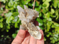 Natural Drusy Quartz Coated Calcite Pseudomorph Specimens x 12 From Alberts Mountain, Lesotho - Toprock Gemstones and Minerals 