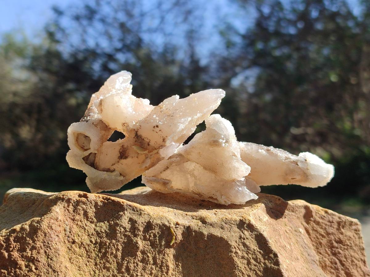 Natural Drusy Quartz Coated Calcite Pseudomorph Specimens x 12 From Alberts Mountain, Lesotho - Toprock Gemstones and Minerals 