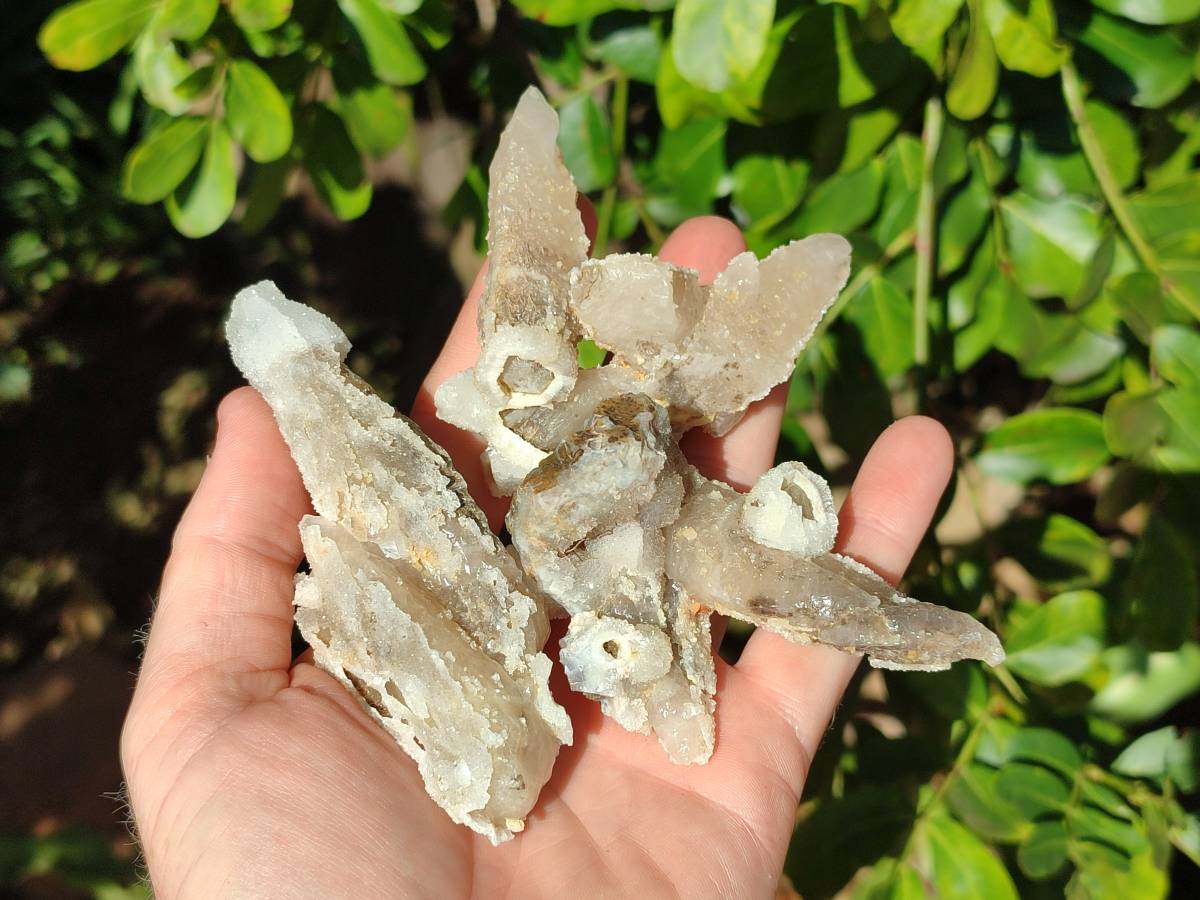 Natural Drusy Quartz Coated Calcite Pseudomorph Specimens x 12 From Alberts Mountain, Lesotho - Toprock Gemstones and Minerals 
