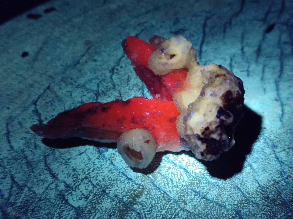 Natural Drusy Quartz Coated Calcite Pseudomorph Specimens x 12 From Alberts Mountain, Lesotho - Toprock Gemstones and Minerals 