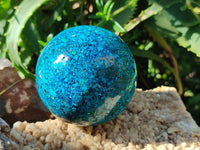 Polished Chrysocolla Conglomerate Spheres x 2 From Congo