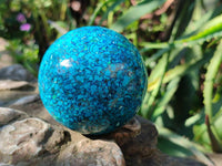Polished Chrysocolla Conglomerate Spheres x 2 From Congo