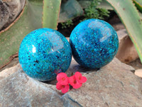 Polished Chrysocolla Conglomerate Spheres x 2 From Congo