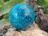 Polished Chrysocolla Conglomerate Spheres x 2 From Congo