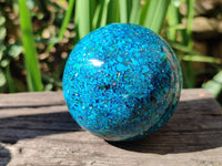 Polished Chrysocolla Conglomerate Spheres x 2 From Congo