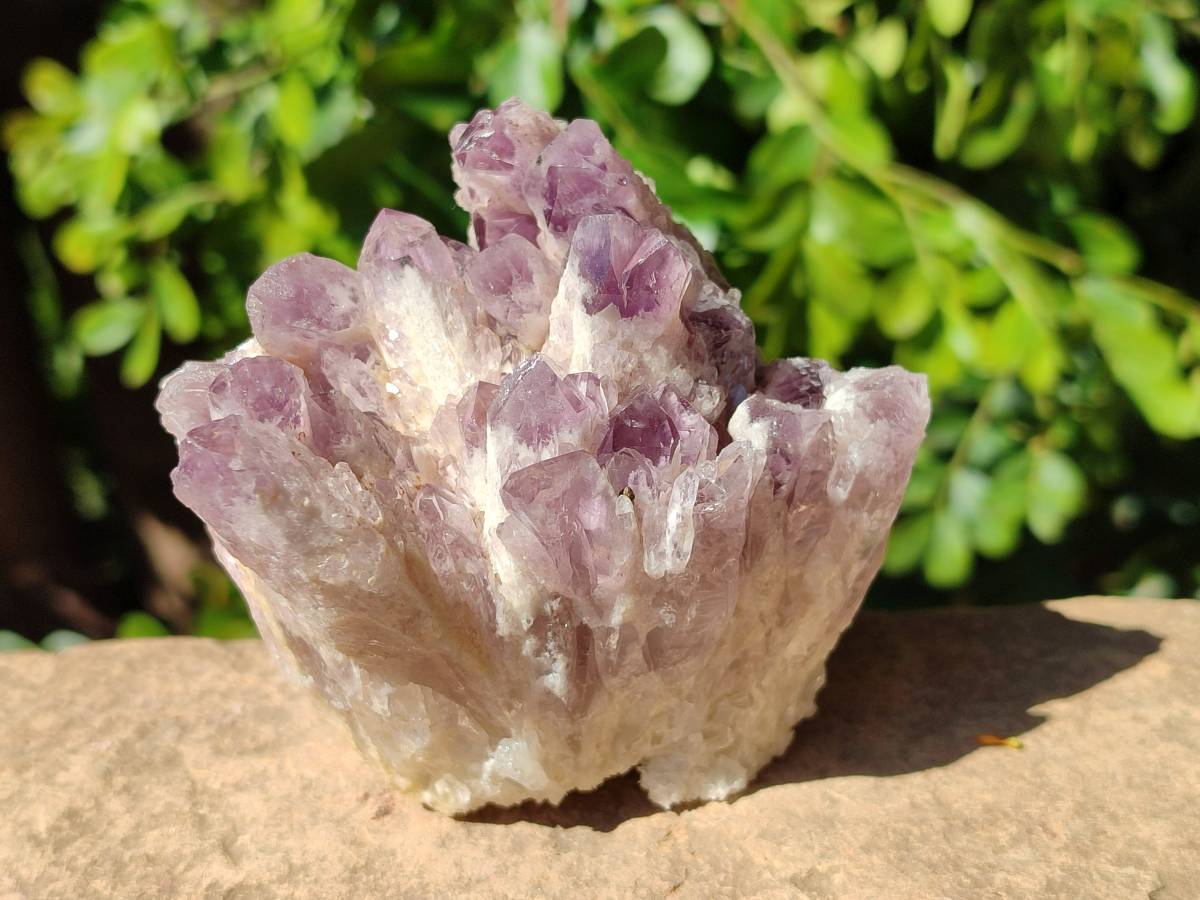 Natural Multi Mineral Specimens x 3 From Southern Africa - Toprock Gemstones and Minerals 