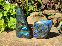 Polished Labradorite Standing Free Forms x 2 From Tulear, Madagascar