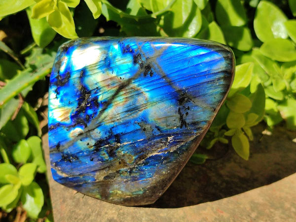 Polished Labradorite Standing Free Forms x 2 From Tulear, Madagascar