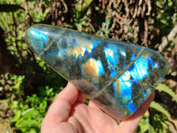 Polished Labradorite Standing Free Forms x 2 From Tulear, Madagascar