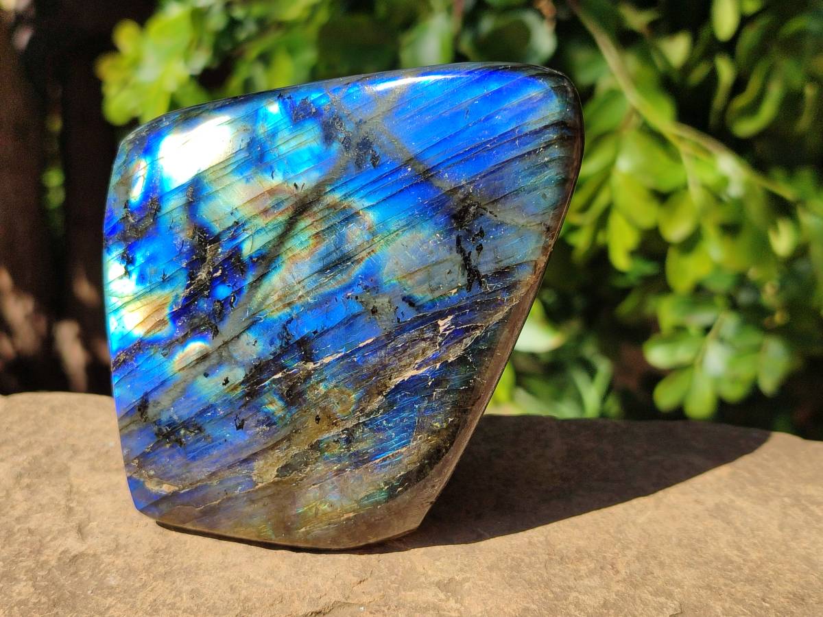 Polished Labradorite Standing Free Forms x 2 From Tulear, Madagascar - Toprock Gemstones and Minerals 