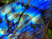 Polished Labradorite Standing Free Forms x 2 From Tulear, Madagascar