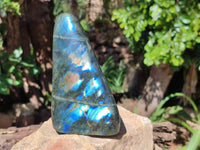 Polished Labradorite Standing Free Forms x 2 From Tulear, Madagascar