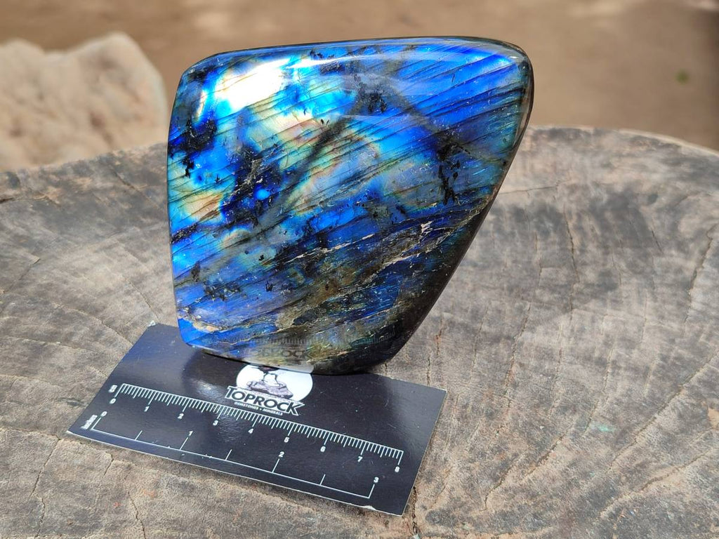 Polished Labradorite Standing Free Forms x 2 From Tulear, Madagascar - Toprock Gemstones and Minerals 