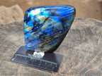 Polished Labradorite Standing Free Forms x 2 From Tulear, Madagascar - Toprock Gemstones and Minerals 