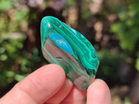 Polished Malacolla Free Forms x 35 From Kalukundi Mine, Congo