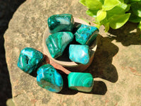 Polished Malacolla Free Forms x 35 From Kalukundi Mine, Congo