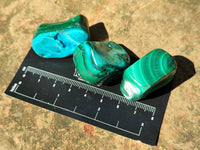Polished Malacolla Free Forms x 35 From Kalukundi Mine, Congo