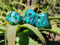 Polished Malacolla Free Forms x 35 From Kalukundi Mine, Congo