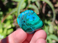 Polished Malacolla Free Forms x 35 From Kalukundi Mine, Congo