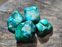 Polished Malacolla Free Forms x 35 From Kalukundi Mine, Congo
