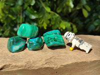 Polished Malacolla Free Forms x 35 From Kalukundi Mine, Congo