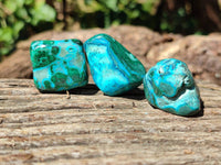 Polished Malacolla Free Forms x 35 From Kalukundi Mine, Congo