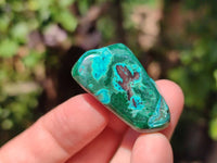 Polished Malacolla Free Forms x 35 From Kalukundi Mine, Congo