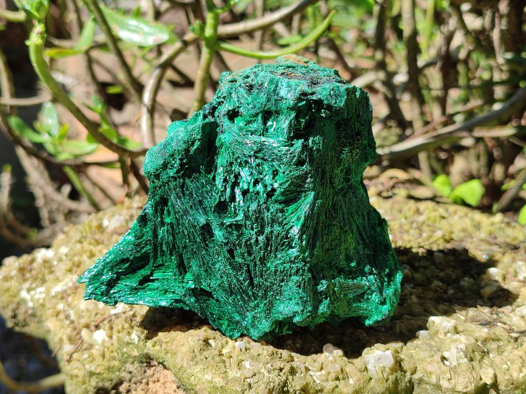 Natural Silky Malachite Specimens x 2 From Kasompe, Congo - Toprock Gemstones and Minerals 