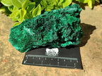 Natural Silky Malachite Specimens x 2 From Kasompe, Congo - Toprock Gemstones and Minerals 