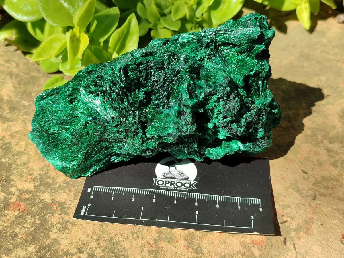 Natural Silky Malachite Specimens x 2 From Kasompe, Congo - Toprock Gemstones and Minerals 