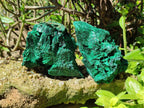 Natural Silky Malachite Specimens x 2 From Kasompe, Congo - Toprock Gemstones and Minerals 