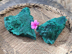 Natural Silky Malachite Specimens x 2 From Kasompe, Congo - Toprock Gemstones and Minerals 