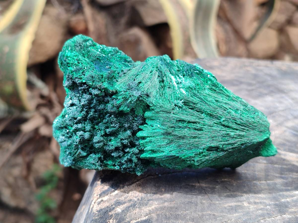 Natural Silky Malachite Specimens x 2 From Kasompe, Congo - Toprock Gemstones and Minerals 