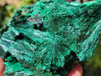 Natural Silky Malachite Specimens x 2 From Kasompe, Congo - Toprock Gemstones and Minerals 