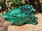 Natural Silky Malachite Specimens x 2 From Kasompe, Congo - Toprock Gemstones and Minerals 