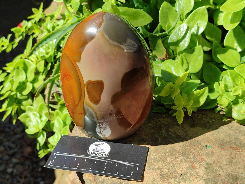 Polished Polychrome Jasper Standing Free Form x 1 From NW Coast, Madagascar - Toprock Gemstones and Minerals 