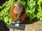 Polished Polychrome Jasper Standing Free Form x 1 From NW Coast, Madagascar - Toprock Gemstones and Minerals 