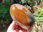 Polished Polychrome Jasper Standing Free Form x 1 From NW Coast, Madagascar - Toprock Gemstones and Minerals 