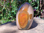 Polished Polychrome Jasper Standing Free Form x 1 From NW Coast, Madagascar - Toprock Gemstones and Minerals 
