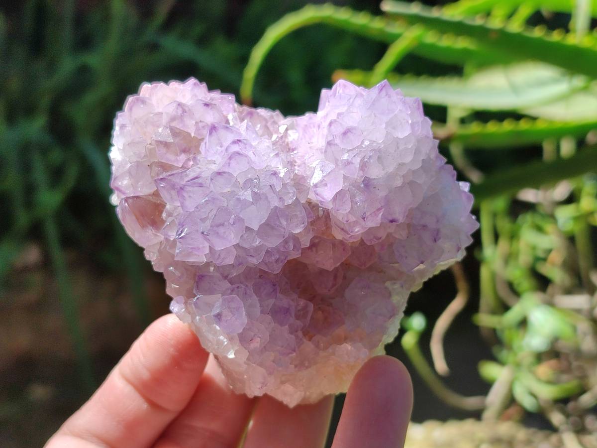 Natural Amethyst Spirit Quartz Clusters x 4 From Boekenhouthoek, South Africa - Toprock Gemstones and Minerals 