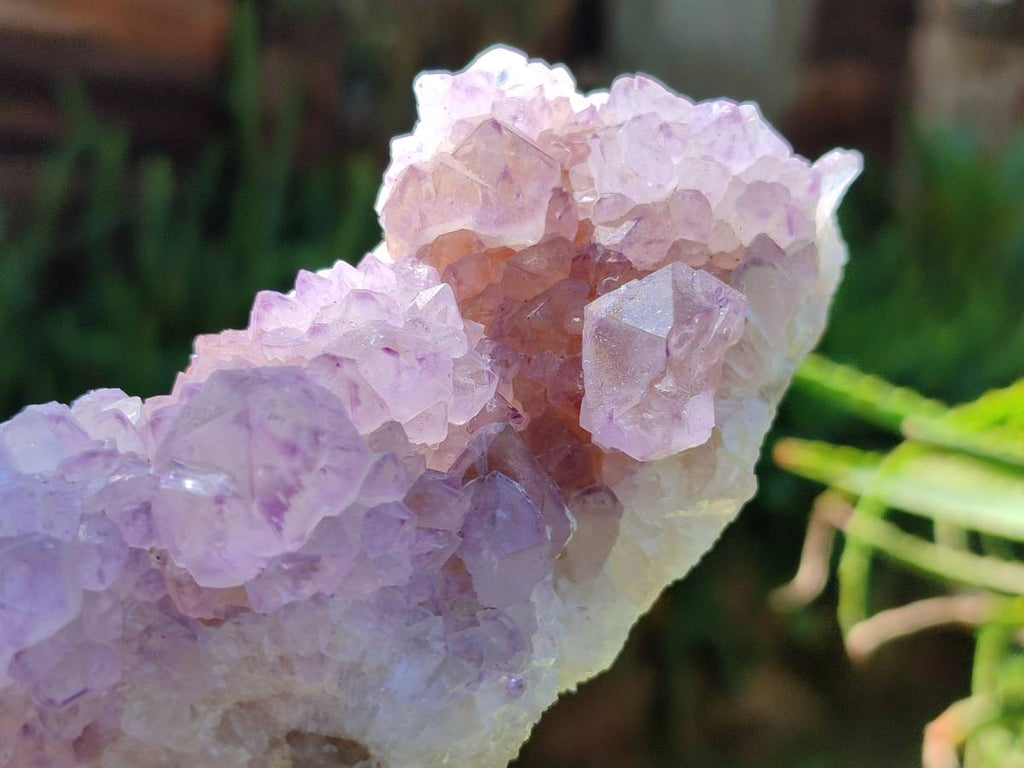 Natural Amethyst Spirit Quartz Clusters x 4 From Boekenhouthoek, South Africa - Toprock Gemstones and Minerals 